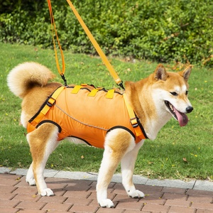 Harnais de transport pour chiens âgés et malades, vêtements d'aide pour chiens, harnais de soins, accessoires pour animaux de compagnie pour le levage et le soutien des chiens - Product Image 6