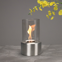 Cheminée d'intérieur à bioéthanol Inno-Fire TT-15 avec une flamme jusqu'à 30 cm, temps de combustion d'une heure, revêtement en poudre métallique