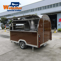 Webetter Mini Camion de Restauration Mobile avec Cuisine Complète pour Café, Jus, Churros, BBQ, Hot-dogs, Tacos, Burgers et Snacks