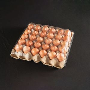 Hot Sales Support Stable Hard to Deform Popular Portable <b>Egg</b> <b>Storage</b> Plastic Tray Box - Product Image 1