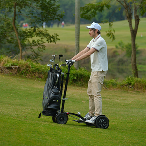 Eswing 2025 Nuevo Diseño, Carro de <span class=keywords><strong>Golf</strong></span> Eléctrico Plegable de Aluminio de 10 Pulgadas y 1600w, Scooter de <span class=keywords><strong>Golf</strong></span> - Product Image 3