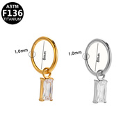 Gaby G23 Piercing en titane pour nez et oreille, Clickers articulés en titane avec breloque en cristal, ASTM F136, Boucles d'oreilles, Anneau de nez, Bijoux de corps sexy
