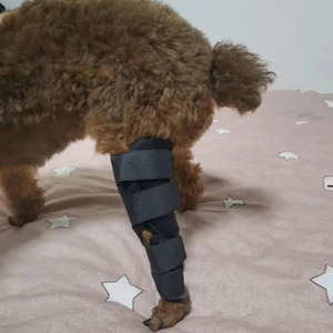 جديد تصميم داعمة الخلفية الكلب دعامة للساق بالكامل Unterstutzung دير Hundebeine دعم gambe دا قصب ل هند الساقين يمنع إصابات - Product Image 5