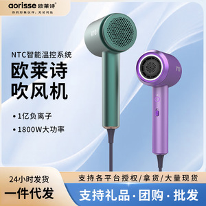 V10 Hair Dryer 2328AV10 High Speed Ionic DC Motor Purple Color Single Air Nozzle Home Use - Product Image 4
