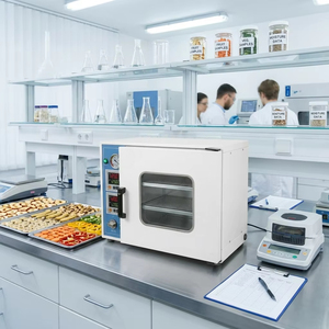 Four de séchage sous vide 25L 50L 90L 215L avec contrôle PID, chauffage indépendant, 250°C, pour laboratoire et usage industriel - Product Image 5