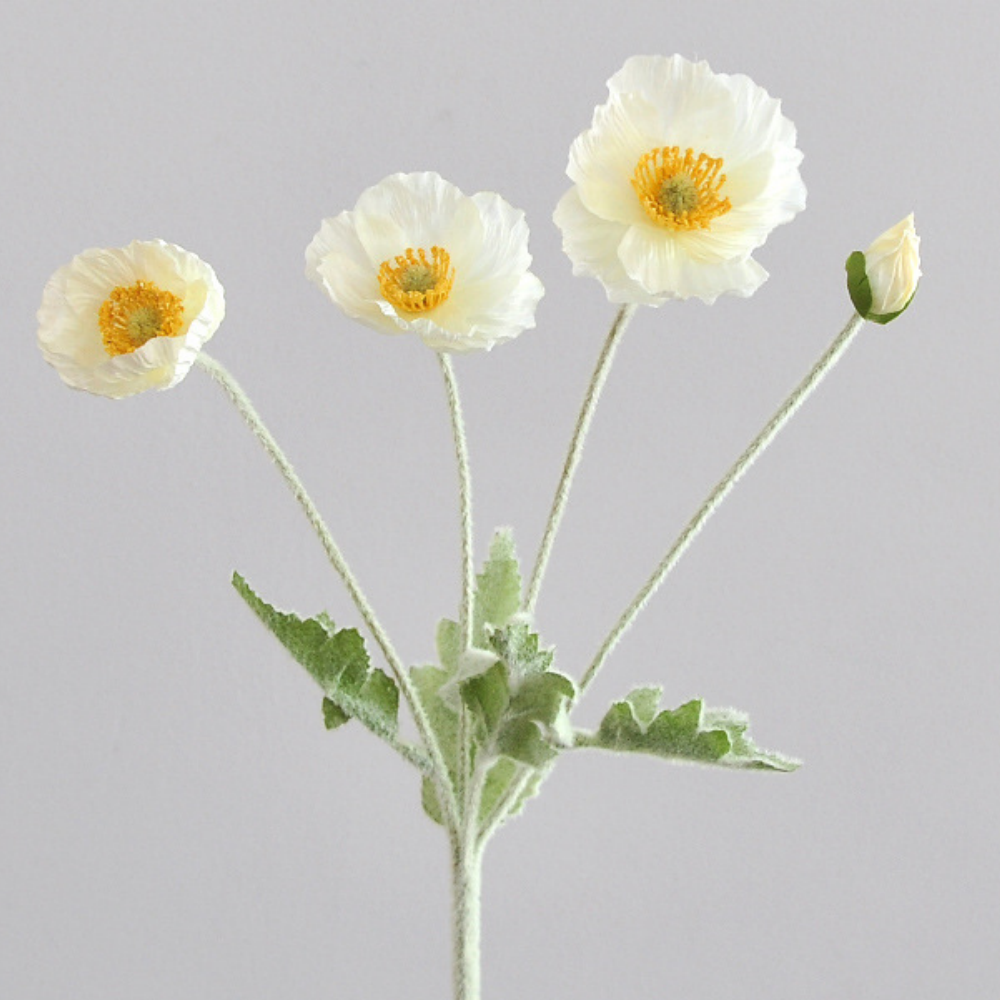 Bianco con nucleo giallo