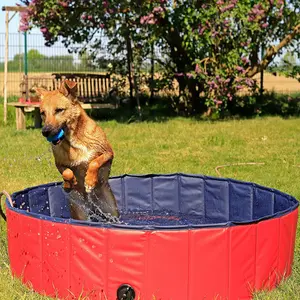 Hoye शिल्प कस्टम 2023 गर्म बिक्री कुत्ते स्नान टब आउटडोर कुत्ते खेलने पूल