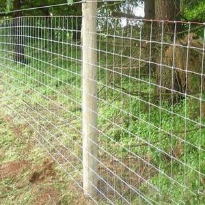 Malla de Alambre Galvanizado por Inmersión en Caliente, Malla para Cercas de Campo, para Ganado, Ovejas, Protección de Ranchos - Product Image 4