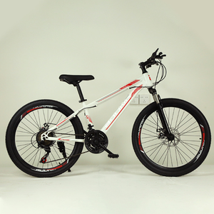 Bicicletta da Montagna Personalizzata 26/24 Pollici in Acciaio al Carbonio, Freno a Doppio Disco, Velocità Variabile, Telaio Rigido, Capacità di Carico 200Kg, Cross-Country - Product Image 3