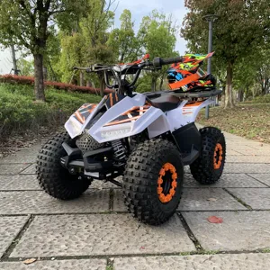 Jinling ATV ATV Elektrik Starter ATV, ATV Quad Bike ATV 4 Roda Dewasa 110cc Bersertifikat