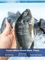 Tilapia Entière Congelée de Haute Qualité 100-200g 200-300g 10% 20% Glazing Emballage en Vrac 10kg/carton Poisson Congelé pour le Marché Africain