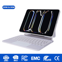 Funda Desmontable que Convierte al iPad de 11 Pulgadas en una Laptop con Retroiluminación RGB y un Imán Potente Soporte para 64 Llaves y Bolígrafos (Reino Unido y Estados Unidos) RoHS.