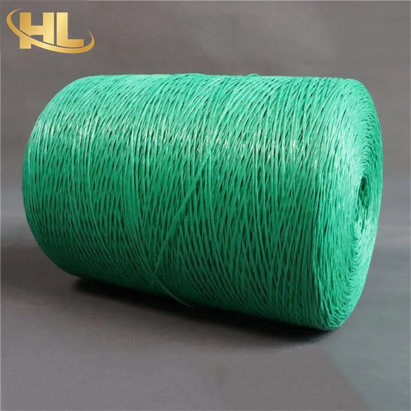 Wuxi Henglong OEM Wholesale UV Treated Agro Greenhouse Horticulture Vegetable Fruit Plastic PP Polypropylene Rope 25mm