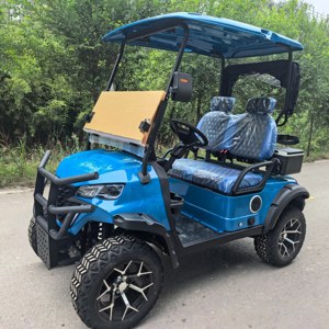 Elektrische Golfkar 2 Zitplaatsen Auto Met Golftas Ondersteuning Regenhoes Buggy Carrito De Mini Elektrische Auto Golfbaan Gebruik Luxe - Product Image 6