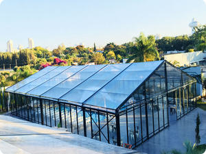 Carpa Romántica Transparente para Bodas y Fiestas al Aire Libre para 100 a 500 Personas, Decoración para Navidad, Primavera y Eventos - Product Image 2