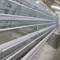 Cages à poules pondeuses automatiques de type A pour l'équipement d'élevage avicole 100