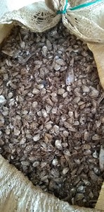 Harina de pescado de anchoa 100% seca de grado alimenticio para ganado, cerdo, perro, fertilizante - Product Image 4