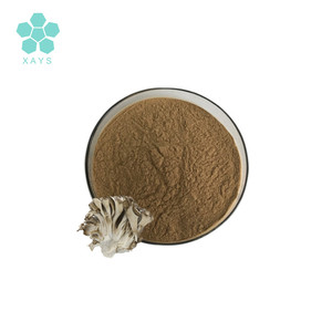 Порошок экстракта грибов <span class=keywords><strong>Maitake</strong></span> 30% полисахаридов - Product Image 2