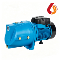 Pompe à jet auto-amorçante électrique 220V AC pour l'approvisionnement en eau des puits peu profonds et l'irrigation des petites surfaces