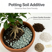 Pasokan Pabrik Zeolit Granular Alami Abu-abu Hijau Kemurnian Tinggi 3-6mm untuk Pengamanan Tanah Pertanian dan Hortikultura serta Penyaringan Air