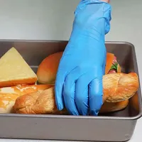 Gants jetables en nitrile composites, haute élasticité, synthétiques, de protection, en nitrile PVC, pour la peinture, la cuisine, imperméables, anti-salissures