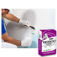 Manteau écrémé basé par ciment de poudre de mastic de mur externe résistant de fente de dureté élevée standard d'ASTM pour l'eau de construction de bâtiment