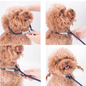 Tali anjing Slip mobil, tali latihan banyak tali anjing peliharaan - Product Image 3