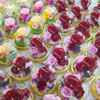 Rose éternelle sous cloche en verre avec lumière LED, double alimentation (batterie et USB), cadeau romantique pour la Fête des Mères et la remise des diplômes