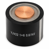 Câble d'alimentation blindé en cuivre YJV22 0,6/1 kV 1*6 1 conducteur, isolé XLPE, blindage en ruban d'acier, gaine en PVC, câble souterrain