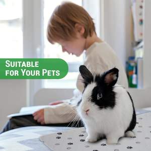 Hot Sale Modern Style Wieder verwendbare Sommer Haustier Pee Pads Wasch bare Training Welpen Hund Pads Soft Travel Friendly Direct Factory Export - Product Image 4