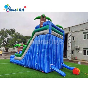 Tobogán Acuático Inflable Comercial con Forma de Palmera, Tobogán Inflable con Piscina - Product Image 3