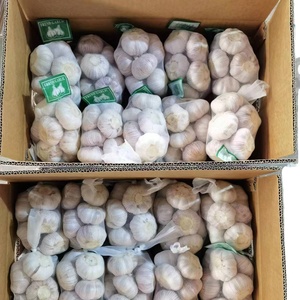 กระเทียมสด 100% บริสุทธิ์ ไม่มีสารกันบูด สำหรับส่งออก - Product Image 1