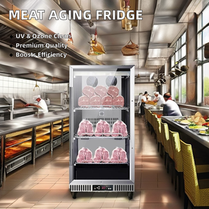 Nuova condizione di manzo armadietto di invecchiamento della carne essiccata <span class=keywords><strong>frigorifero</strong></span> di stagionatura con <span class=keywords><strong>motore</strong></span> a pompa per la vendita al dettaglio Hotel bistecca frigo di stagionatura - Product Image 4