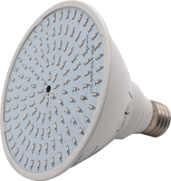 Lumière linéaire LED sous-marine IP68, étanche, en métal, DC12V, garantie de 2 ans, pour fontaine, piscine, étang, jardin, paysage, lampe spot