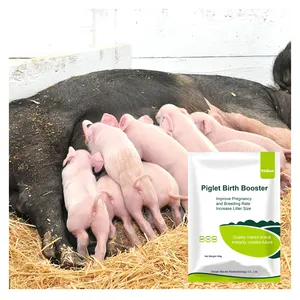 Sow Use Product Increase Litter Size Piglet Birth Booster New Born Piggy Boost Duozibao