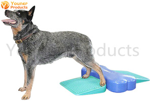 Equipo de entrenamiento para perros, rampa de equilibrio para caminar al aire libre, parque de perros personalizado - Product Image 2