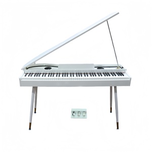 Nhà máy bán buôn đàn piano điện 88 phím, đàn organ điện, nhạc cụ - Product Image 1