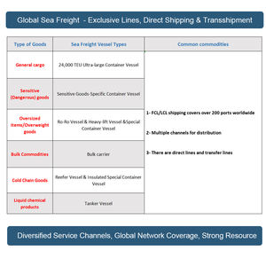 Agente de Logística en China, Transitario de Carga, Carga LCL FCL DDP, Envío Marítimo desde China a Europa/Reino Unido/Estados Unidos - Product Image 4