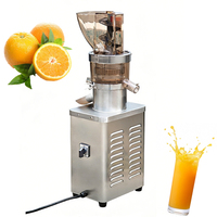 Commerciële fruitpers, sapcentrifuge, machine voor het maken van appel-, sinaasappel- en perensap, sapcentrifuge