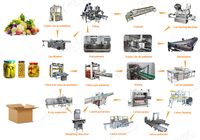 Entièrement Automatique En Conserve Fruits Légumes Lignes De Traitement Cornichon Olive Pickle Line Machines