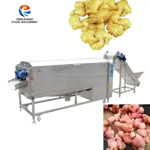 대형 야채 세탁기 및 필러 과일 당근 감자 무 타로 yam 카사바 기계