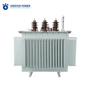 Transformador de potencia sumergido en aceite 20kV 100 kVA 160 kVA 225 kVA 300kVA 400kVA 500kVA 630kVA transformador de potencia