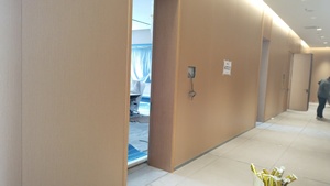 Panel de pared de aluminio con imitación de madera ignífuga, acabado no inflamable, forma personalizable, utilizado para la construcción de paredes exteriores. - Product Image 6