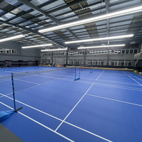 Lámpara LED de Interior para Cancha de Bádminton, Iluminación Antideslumbrante para Cancha de Pádel, Bádminton y Pickleball, Ideal para Gimnasios