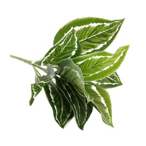 Feuilles d'oreille d'éléphant artificielles Greenway, 30cm-100cm, bouquet en plastique et soie, plantes décoratives pour la maison - Product Image 2