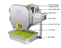 Multifunctionele groente- en fruitsnijmachine voor groene ui, snijder en hakselaar 	 Commerciële groentesnijder, uien snijmachine