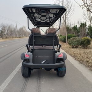Nuovo Golf Cart Elettrico Fuoristrada 7-8 Posti in Metallo e Plastica Batteria 48V Velocità 30-50km/h Autonomia 90km Veicolo per Caccia Novità - Product Image 5