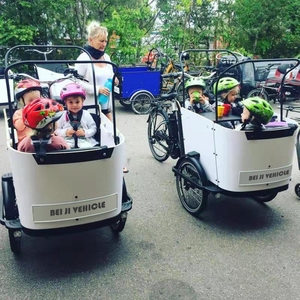 Beiji Néerlandais trois roues tricycle électrique en bois courbé boîte cargo vélo avec housse de pluie à vendre - Product Image 2