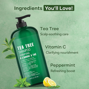 Champú de Árbol de Té 100% Puro de Marca Privada con Aceite de Menta, Lavanda y Romero - Product Image 4