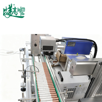 Machine de marquage laser avec alimentation automatique de coques de stylos, laser UV pour un marquage efficace et autonome des produits finis sur tout le processus